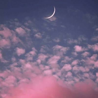 太空狼人格斗游戏下载