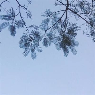 热血三国曹魏传手游